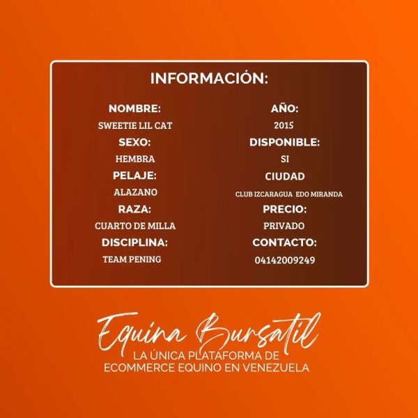 NO DISPONIBLE - Imagen 6