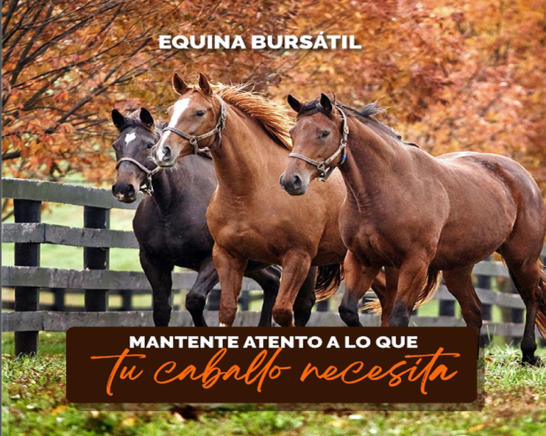 Si bien los animales no pueden hablar, como dueños, es nuestro deber mantenernos atentos a lo que estos necesitan.