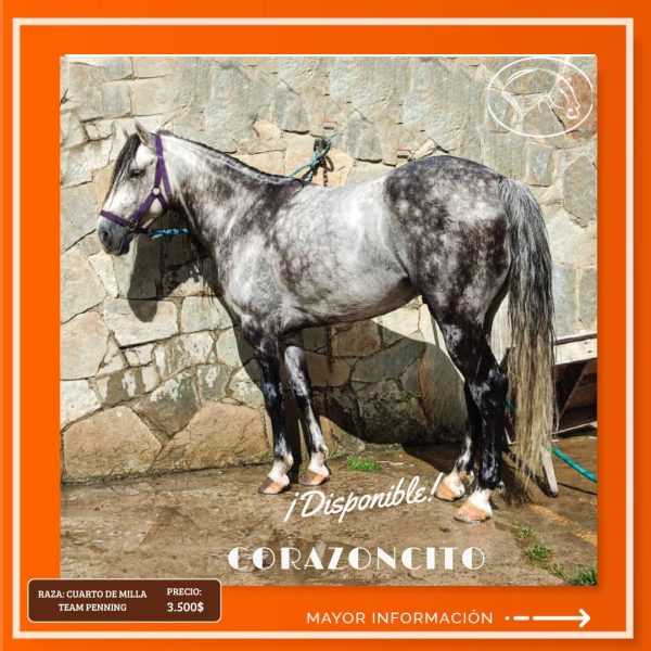 CORAZONCITO - Imagen 4