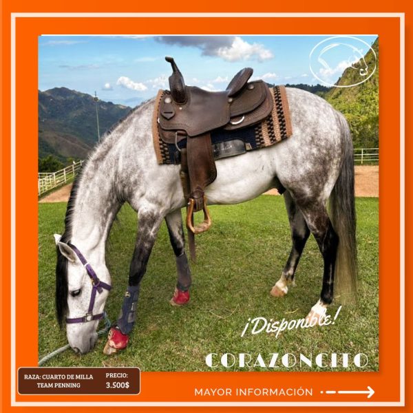 CORAZONCITO - Imagen 6