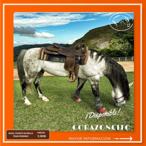CORAZONCITO - Imagen 7