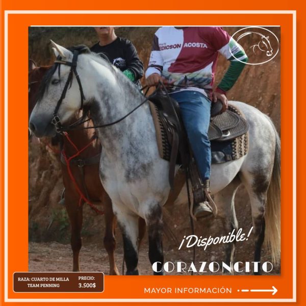 CORAZONCITO - Imagen 8