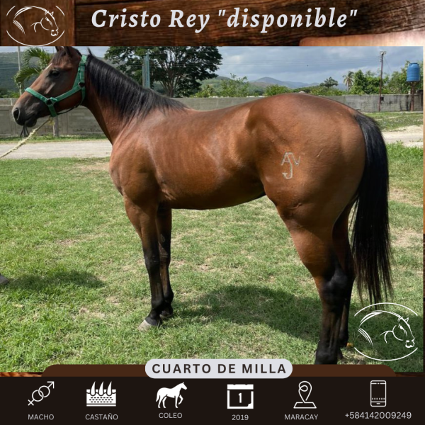Cristo Rey - Imagen 3