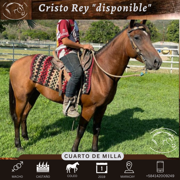 Cristo Rey - Imagen 6