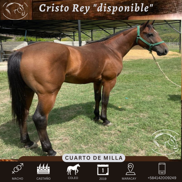 Cristo Rey - Imagen 5