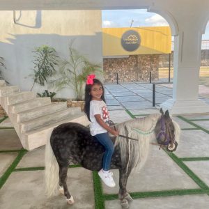 🦄 ¡EL REGALO PERFECTO: PONY RUANO PARA NIÑOS! 🌟✨