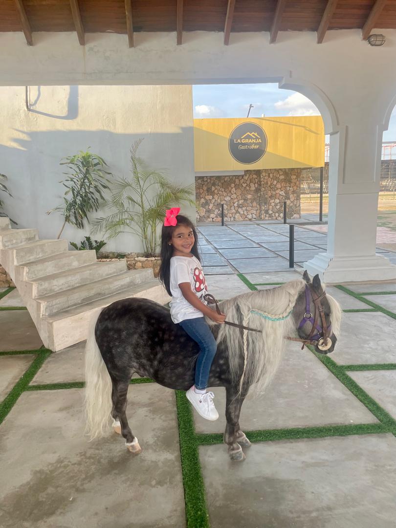 🦄 ¡EL REGALO PERFECTO: PONY RUANO PARA NIÑOS! 🌟✨