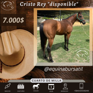 Cristo Rey