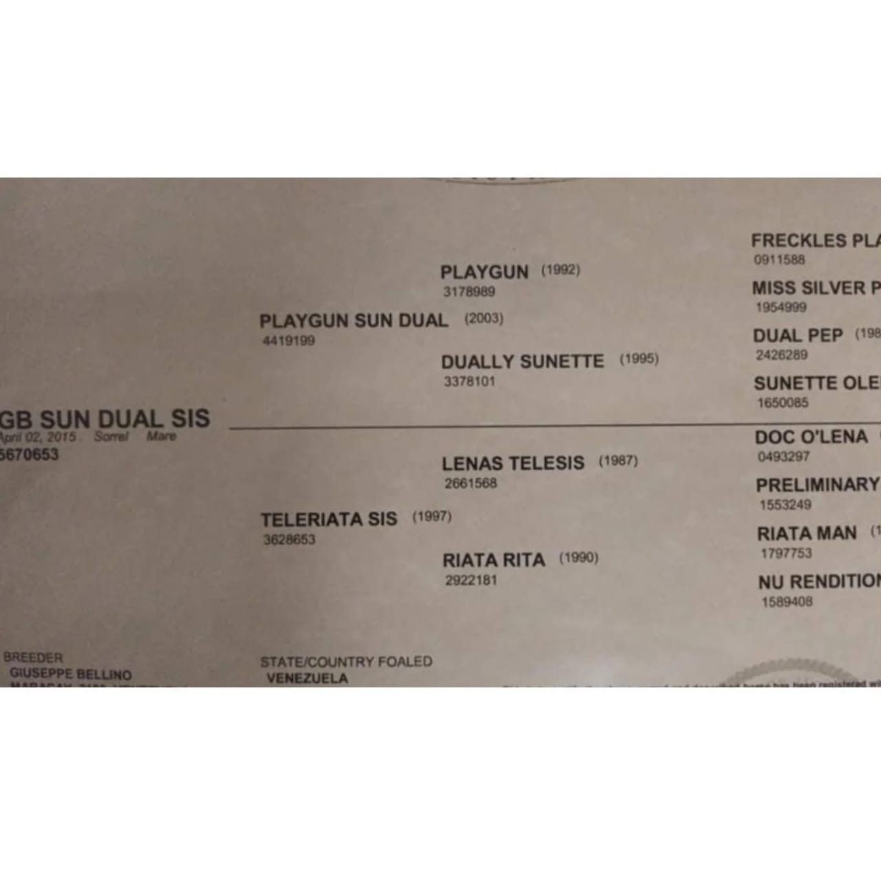 🐴 EN VENTA: YEGUA MORA 2015 (CON REGISTRO) 💎 - Imagen 5