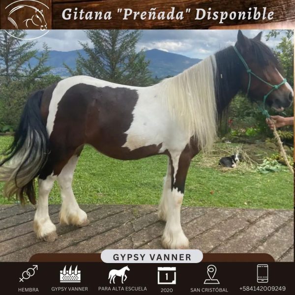 GITANA - Imagen 3