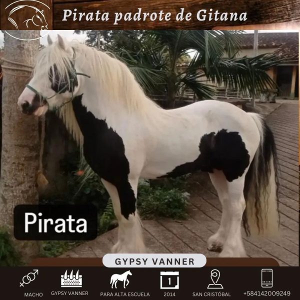 GITANA - Imagen 5