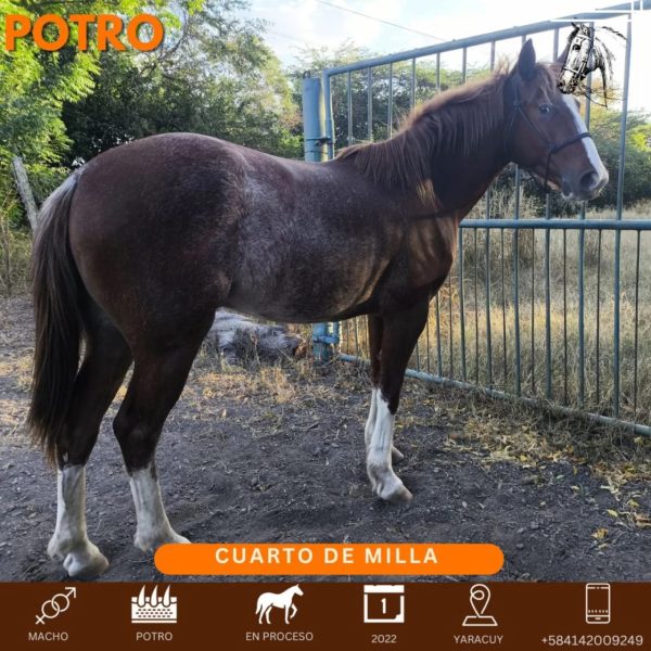 Heredero - Imagen 2