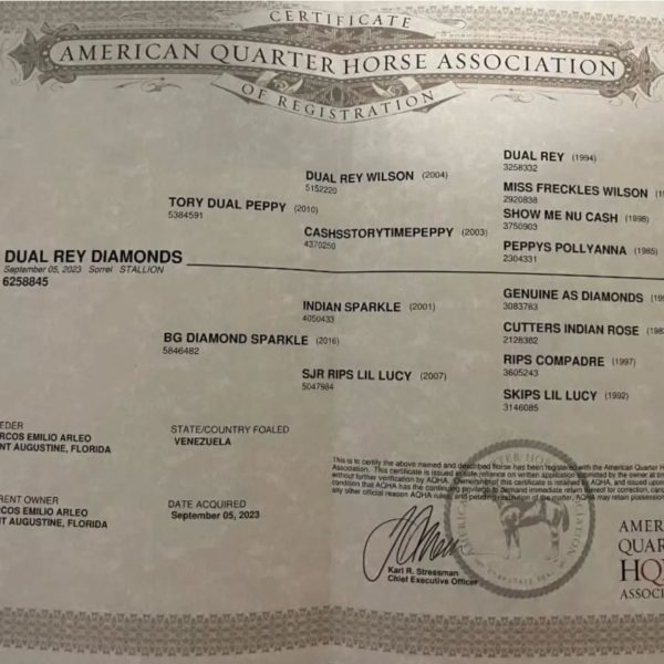 DUAL REY DIAMONS - Imagen 6