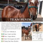 956f6fa6-50ed-41f8-822b-165115680ed4