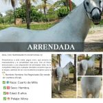 59155b44-569d-4ba1-8a98-d6d81b97d49f