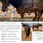 6a279e01-190b-479c-89bf-b7dec0fccf10