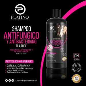 83fd9e7b-0339-4d0d-aa06-b5de9cb749ef