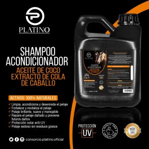 89ee929e-5573-437f-859e-730024e978dc