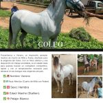 cff255b6-f28c-4056-889b-6091d5846c48