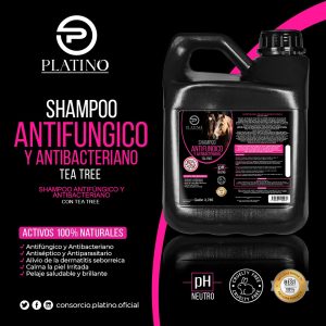 e408a3dc-2bca-4184-8c59-60f13ae34579