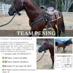 646b6c19-5b6a-4282-a2cc-9bdc5f55407b