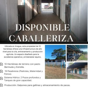 DISPONIBLE EN VENTA: HARAS & CABALLERIZA PROFESIONAL