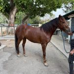 IMG-20260826-WA0067